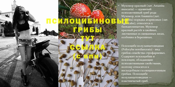 шишки Карталы