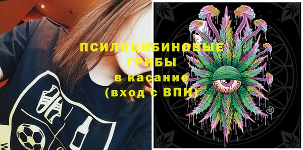 шишки Карталы