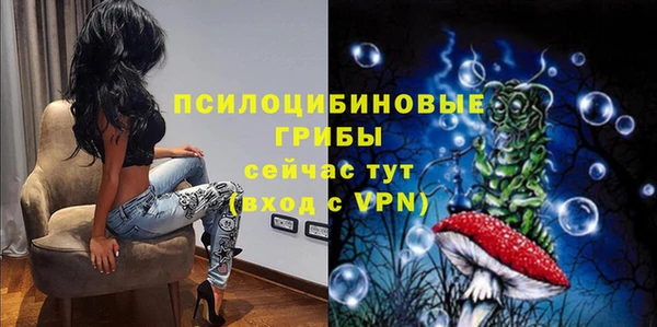 Альфа ПВП Карпинск