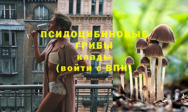 шишки Карталы